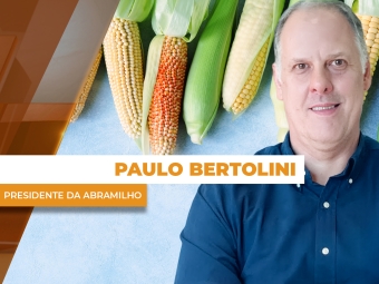 paulo site