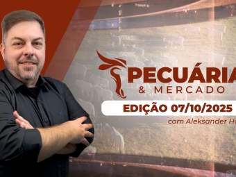 pecuaria