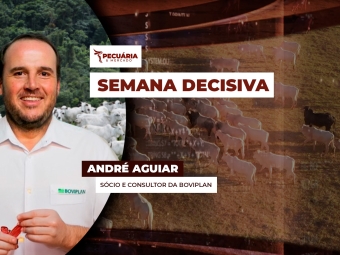 pecuaria ent 1
