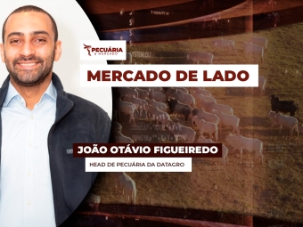 pecuaria ent 1
