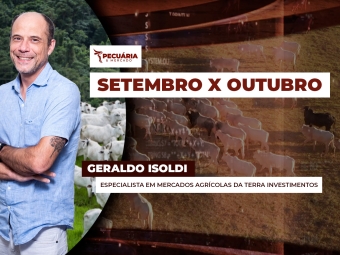 pecuaria ent 1
