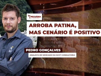 pecuaria ent 1