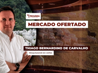 pecuaria ent 1