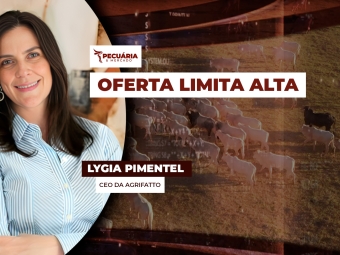 pecuaria ent 1