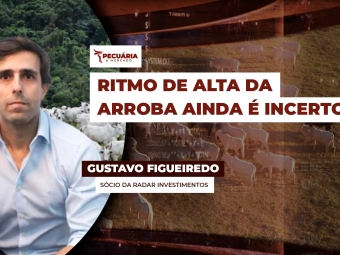 pecuaria ent 1