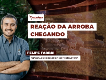 pecuaria ent 1
