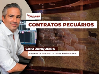 pecuaria ent 1