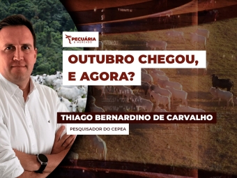 pecuaria ent 1