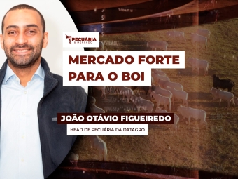 pecuaria ent 1
