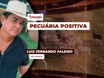 pecuaria ent 2