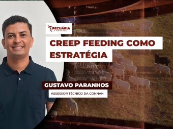 pecuaria ent 2