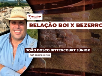 pecuaria ent 2