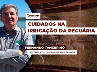 pecuaria ent 2