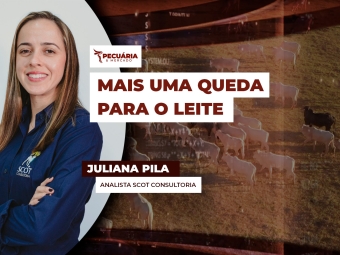 pecuaria ent 2