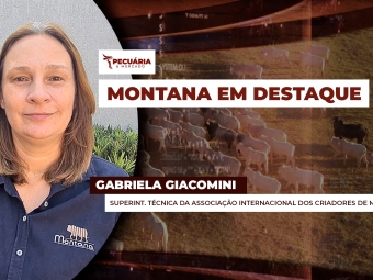 pecuaria ent 2