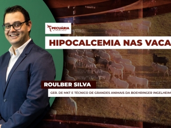 pecuaria ent 2