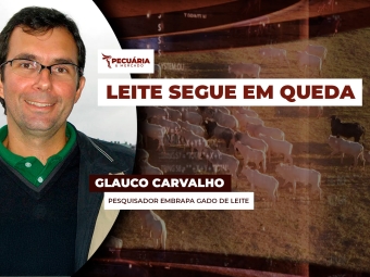 pecuaria ent 2