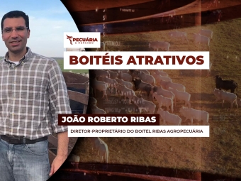 pecuaria ent 2