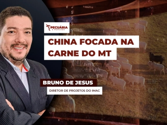 pecuaria ent 2