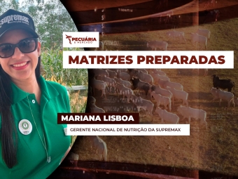 pecuaria ent 2