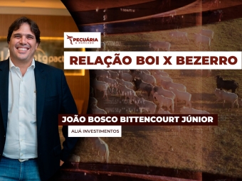 pecuaria ent 2