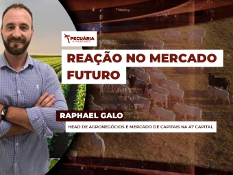 pecuaria ent 2