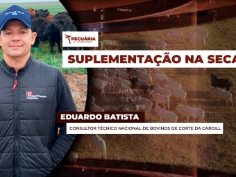 pecuaria ent 2