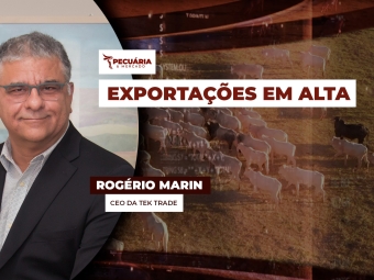 pecuaria ent 3