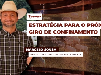 pecuaria ent 3