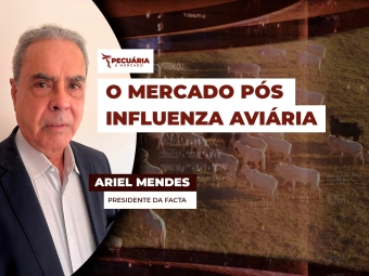 pecuaria ent 3
