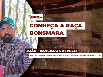pecuaria ent 3