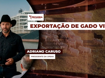pecuaria ent 3