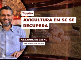 pecuaria ent 3