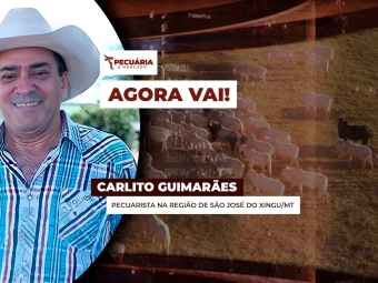 pecuaria ent 3