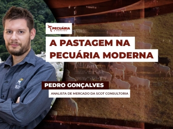 pecuaria ent 3