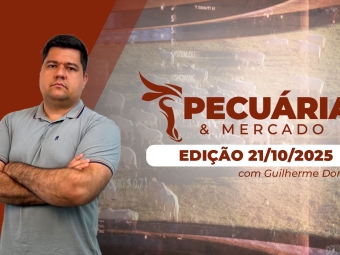pecuaria integra