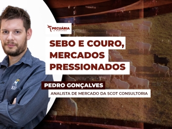 pedro
