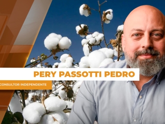 pery 2