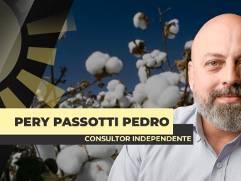 PERY-DESTAQUE