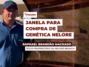 raphael