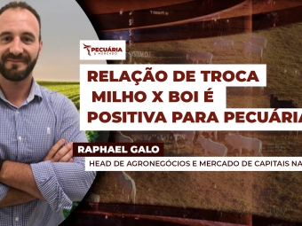 raphael-galo