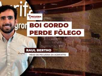 RAUL BERTHO