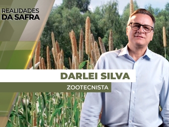 RDS - SITE - AMARILDO