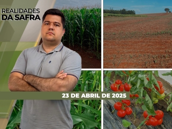 Realidades -  Integra