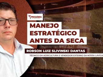ROBSON