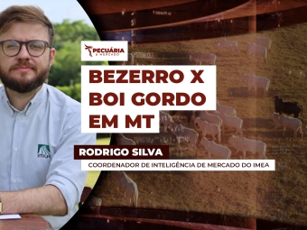 rodrigo