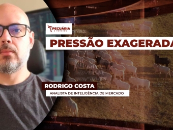 RODRIGO COSTA