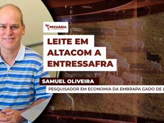 Samuel