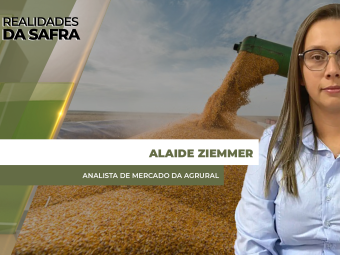 site-Alaide