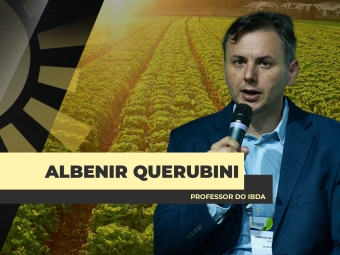 site Albenir
